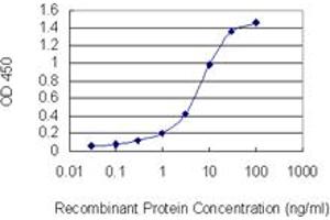 Detection limit for recombinant GST tagged SUMO2 is 0. (SUMO2 antibody  (AA 1-95))