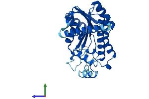 AlphaFold protein structure predicition of Mouse Recombinant Sdr16c5 Protein, UniprotID Q7TQA3