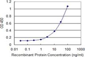 Detection limit for recombinant GST tagged INPP4B is 1 ng/ml as a capture antibody. (INPP4B antibody  (AA 1-53))