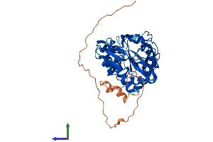 Protein Structure (PS) image for Inositol-Tetrakisphosphate 1-Kinase (ITPK1) (AA 1-414) protein (His tag) (ABIN7554204)