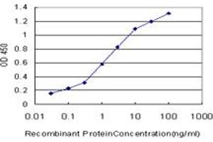 Detection limit for recombinant GST tagged LHX4 is approximately 0. (LHX4 antibody  (AA 208-306))