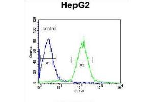 Flow Cytometry (FACS) image for anti-Phospholipid Transfer Protein (PLTP) antibody (ABIN3003343) (PLTP antibody)