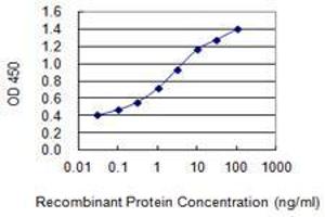 Detection limit for recombinant GST tagged PPP1R13B is 0. (PPP1R13B antibody  (AA 1-90))