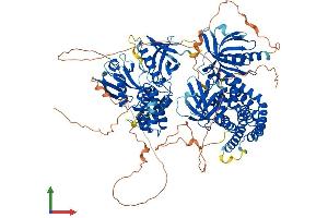AlphaFold protein structure predicition of Human Recombinant FARP1 Protein, UniprotID Q9Y4F1