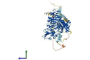 Protein Structure (PS) image for Mannosyl (Alpha-1,6-)-Glycoprotein beta-1,6-N-Acetyl-Glucosaminyltransferase (MGAT5) (AA 1-740) protein (His tag) (ABIN7559762)