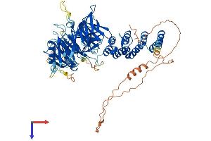 AlphaFold protein structure predicition of Mouse Recombinant Wdpcp Protein, UniprotID Q8C456 (WDPCP Protein (AA 1-722) (His tag))