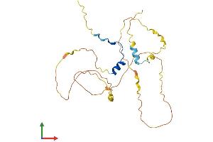 AlphaFold protein structure predicition of Mouse Recombinant Pou2af1 Protein, UniprotID Q64693