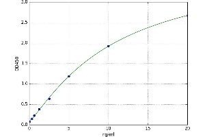 THAP Domain Containing 4 (THAP4) ELISA Kit