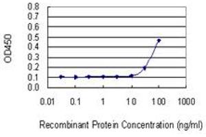 Detection limit for recombinant GST tagged NP is 10 ng/ml as a capture antibody. (PNP antibody  (AA 1-289))