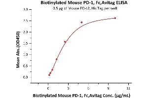 Immobilized Mouse PD-L2, His Tag (ABIN2870760,ABIN2870761) at 5 μg/mL (100 μL/well) can bind Biotinylated Mouse PD-1, Fc,Avitag (ABIN2870576,ABIN2870577) with a linear range of 0.