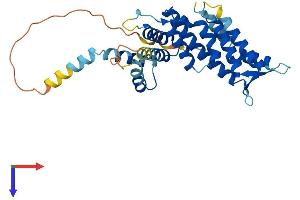 Tubulin Polyglutamylase Complex Subunit 1 (TPGS1) (AA 1-303) protein (His tag)