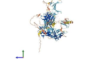 AlphaFold protein structure predicition of Mouse Recombinant Nedd4 Protein, UniprotID P46935 (NEDD4 Protein (AA 1-887) (His tag))