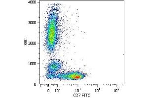 Surface staining of human peripheral blood cells with anti-human CD7 (MEM-186) FITC. (CD7 antibody  (FITC))