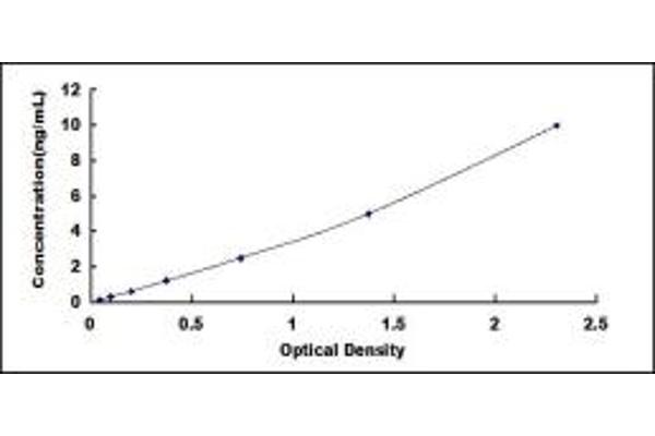 NKX3-1 ELISA Kit