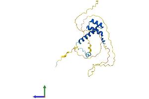 Protein Structure (PS) image for Brain-Specific Homeobox (BSX) (AA 1-233) protein (His tag) (ABIN7552684)