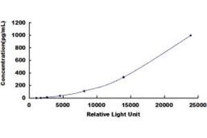ELISA image for Vascular Endothelial Growth Factor A (VEGFA) CLIA Kit (ABIN491836)