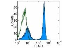 Image no. 1 for anti-CD3 (CD3) antibody (FITC) (ABIN475147) (CD3 antibody  (FITC))