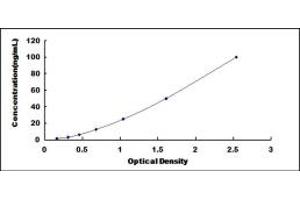 Typical standard curve (PKC delta ELISA Kit)