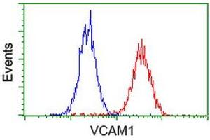 Flow cytometric Analysis of Hela cells, using anti-VCAM1 antibody (ABIN2454217), (Red), compared to a nonspecific negative control antibody, (Blue). (VCAM1 antibody)