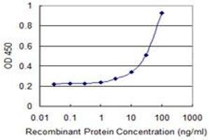 Detection limit for recombinant GST tagged NTF4 is 1 ng/ml as a capture antibody. (Neurotrophin 4 antibody  (AA 1-210))