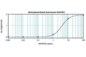 Image no. 1 for anti-Chemokine (C-C Motif) Ligand 5 (CCL5) antibody (Biotin) (ABIN465679) (CCL5 antibody  (Biotin))
