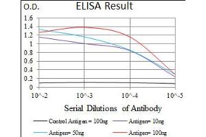 Image no. 2 for anti-Surfactant Protein C (SFTPC) antibody (ABIN1491610) (Surfactant Protein C antibody)