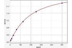 Typical standard curve (MKRN3 ELISA Kit)