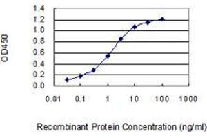 Detection limit for recombinant GST tagged OTOP1 is 0. (Otopetrin 1 antibody  (AA 415-504))