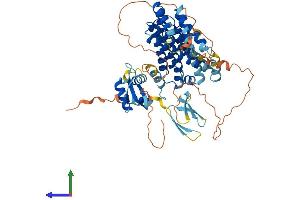 AlphaFold protein structure predicition of Mouse Recombinant Rfx8 Protein, UniprotID D3YU81 (RFX8 Protein (AA 1-596) (His tag))