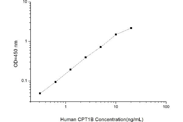 CPT1B ELISA Kit