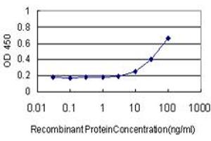 Detection limit for recombinant GST tagged FGF1 is approximately 10ng/ml as a capture antibody. (FGF1 antibody  (AA 46-155))