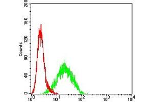 Flow Cytometry (FACS) image for anti-Cyclin-Dependent Kinase Inhibitor 1C (p57, Kip2) (CDKN1C) antibody (ABIN7193625)