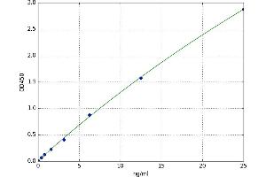 Cytochrome C, Somatic (CYCS) ELISA Kit