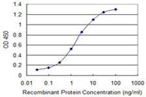 Detection limit for recombinant GST tagged PIM3 is 0. (PIM3 antibody  (AA 242-326))
