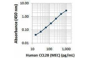 ELISA image for anti-Chemokine (C-C Motif) Ligand 28 (CCL28) antibody (Biotin) (ABIN2664097) (CCL28 antibody  (Biotin))