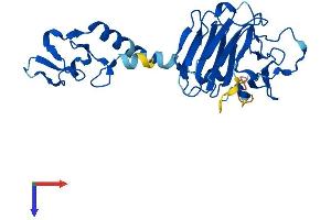 Ret Finger Protein-Like 4A (RFPL4A) (AA 1-287) protein (His tag)