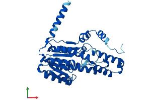 AlphaFold protein structure predicition of Mouse Recombinant Rdh7 Protein, UniprotID O88451 (RDH7 Protein (AA 1-316) (His tag))