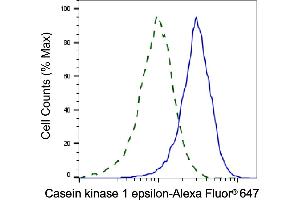 Validation of Casein kinase 1 epsilon knockdown using flow cytometry. (CK1 epsilon antibody)