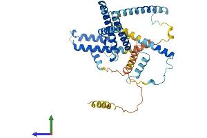 AlphaFold protein structure predicition of Human Recombinant DNAJC28 Protein, UniprotID Q9NX36