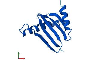 AlphaFold protein structure predicition of Mouse Recombinant Lamtor5 Protein, UniprotID Q9D1L9