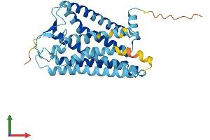 AlphaFold protein structure predicition of Human Recombinant OR4A8 Protein, UniprotID P0C604 (OR4A8 Protein (AA 1-315) (His tag))