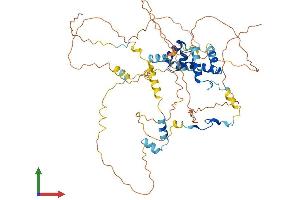 AlphaFold protein structure predicition of Mouse Recombinant Mier3 Protein, UniprotID Q3UHF3 (MIER3 Protein (AA 1-551) (His tag))