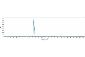 anti-TNFSF13B (Belimumab Biosimilar) antibody