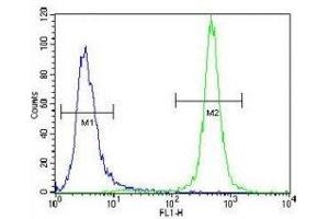 MST1 antibody flow cytometric analysis of NCI-H460 cells (green) compared to a negative control (blue). (MST1 antibody  (AA 454-483))