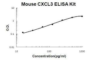 Mouse CXCL3 PicoKine ELISA Kit standard curve (CXCL3 ELISA Kit)