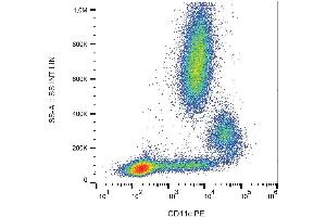 Surface staining of human peripheral blood cells with anti-CD11c PE. (CD11c antibody  (PE))