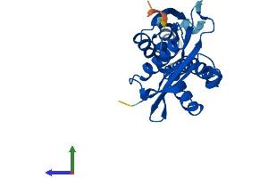 AlphaFold protein structure predicition of Mouse Recombinant Nat8 Protein, UniprotID Q9JIY7 (NAT8 Protein (AA 1-227) (His tag))