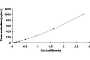 Typical standard curve (Cardiotrophin 1 ELISA Kit)