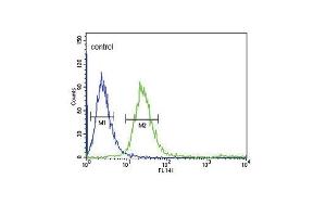 Flow Cytometry (FACS) image for anti-Fc Fragment of IgG, High Affinity Ib, Receptor (CD64) (FCGR1B) (AA 248-276), (C-Term) antibody (ABIN653144)