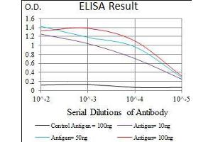 Black line: Control Antigen (100 ng), Purple line: Antigen(10 ng), Blue line: Antigen (50 ng), Red line: Antigen (100 ng), (C17orf53 antibody  (AA 282-527))